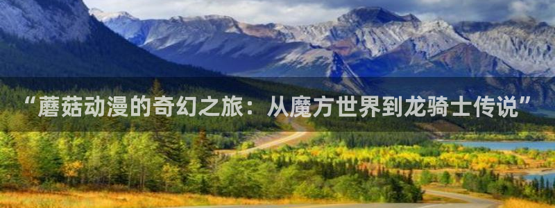 囧次元新版本下载