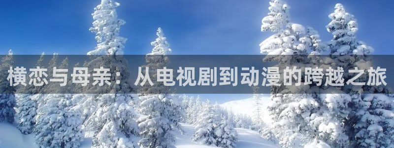 囧次元下载官方正版最新版