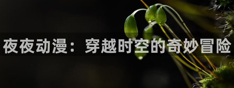 囧次元官方网站入口下载最新版本：夜夜动漫：穿越时空的奇妙冒险