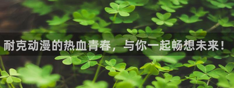 囧次元官方入口下载：耐克动漫的热血青春，与你一起畅想未来！