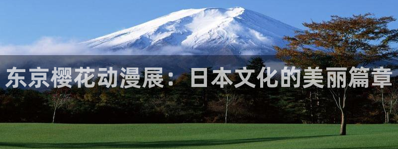 囧次元动漫官方网入口：东京樱花动漫展：日本文化的美丽篇章