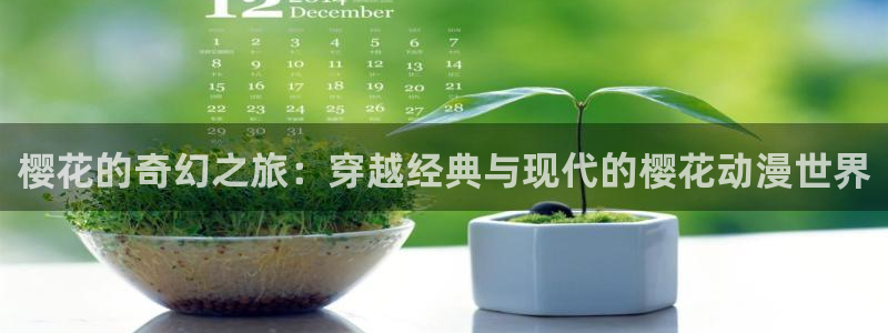 囧次元官方正版网站：樱花的奇幻之旅：穿越经典与现代的樱花动漫世界