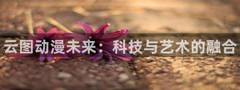 囧次元ios官网入口：云图动漫未来：科技与艺术的融合