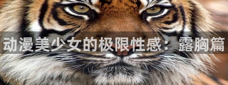 囧次元免费看动漫：动漫美少女的极限性感：露胸篇