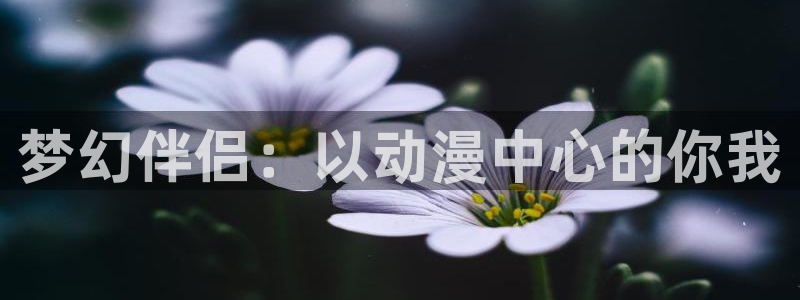 囧次元官方正版：梦幻伴侣：以动漫中心的你我