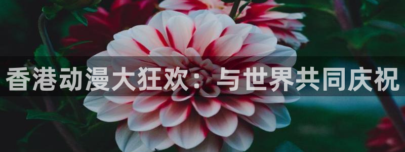 囧次元官方网站入口最新版本：香港动漫大狂欢：与世界共同庆祝