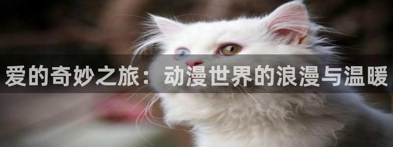 囧次元在线官网入口：爱的奇妙之旅：动漫世界的浪漫与温暖