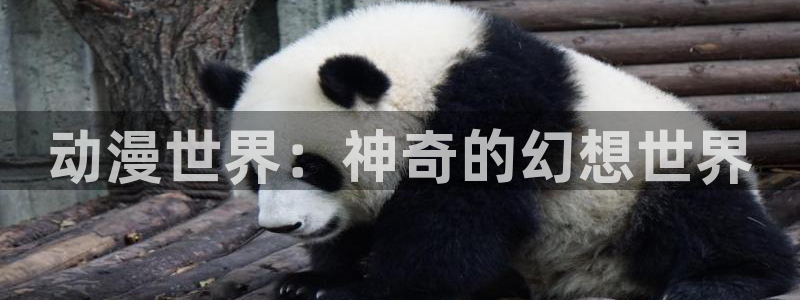 囧次元 官网：动漫世界：神奇的幻想世界