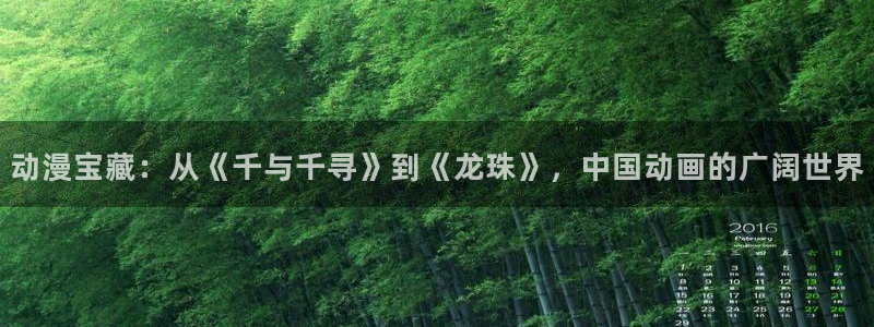 囧次元在线观看入口网址：动漫宝藏：从《千与千寻》到《龙珠》，中国动画的广阔世界