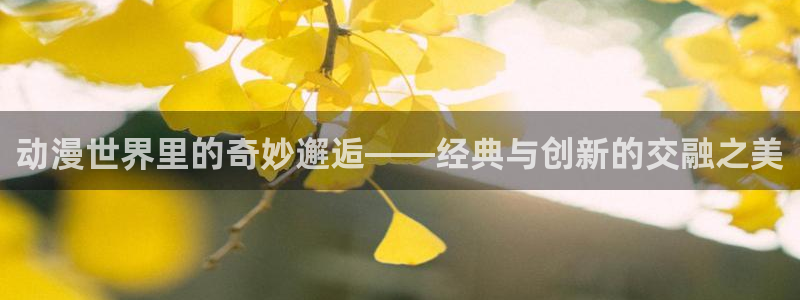 最新版囧次元app下载：动漫世界里的奇妙邂逅——经典与创新的交融之美