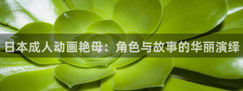 囧次元官方入口下载：日本成人动画艳母：角色与故事的华丽演绎