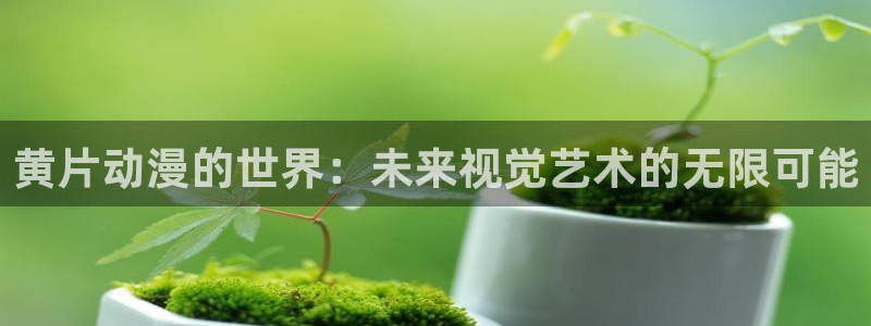 囧次元app官方正版下载：黄片动漫的世界：未来视觉艺术的无限可能