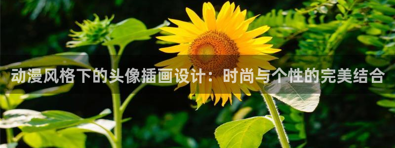 囧次元下：动漫风格下的头像插画设计：时尚与个性的完美结合