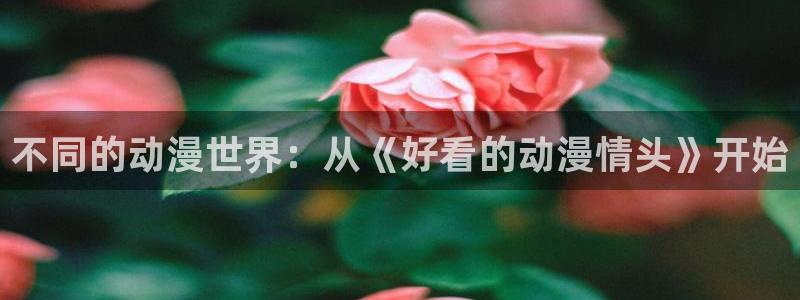 囧次元在线