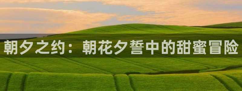 囧次元下载正版