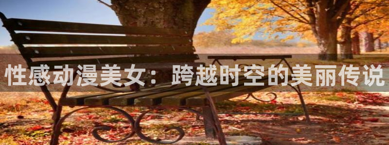 囧次元最新下载链接