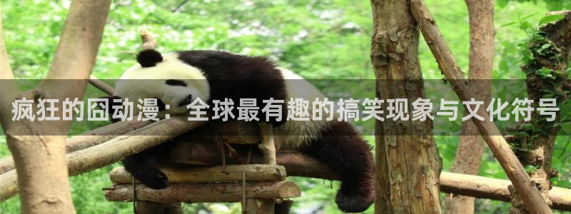 囧次元app下载官网最新版本：疯狂的囧动漫：全球最有趣的搞笑现象与文化符号
