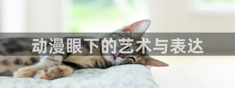 囧次元官方网站入口官网：动漫眼下的艺术与表达