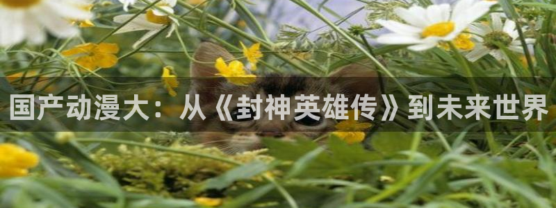 囧次元下载官方正版：国产动漫大：从《封神英雄传》到未来世界