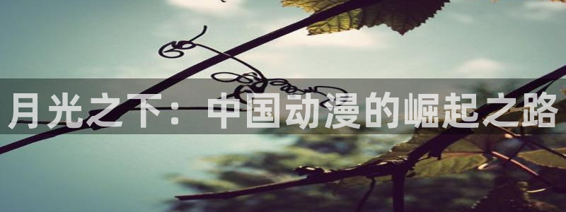 囧次元app官网：月光之下：中国动漫的崛起之路