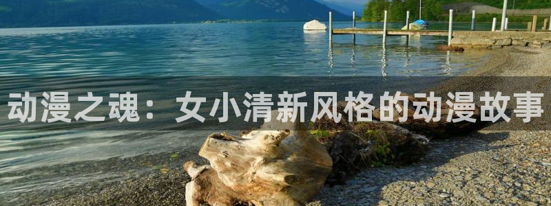 囧次元a：动漫之魂：女小清新风格的动漫故事