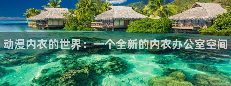 jcyapp囧次元官网入口：动漫内衣的世界：一个全新的内衣办公室空间