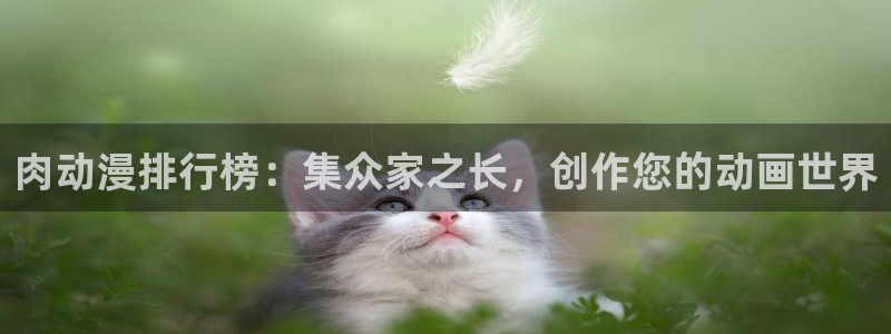囧次元动漫官网入口下载：肉动漫排行榜：集众家之长，创作您的动画世界
