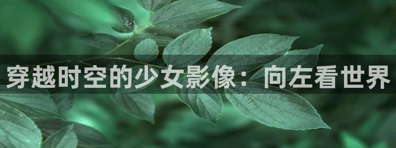 囧次元动漫官网入口下载：穿越时空的少女影像：向左看世界