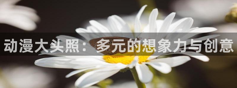 囧次元动漫app正版下载：动漫大头照：多元的想象力与创意