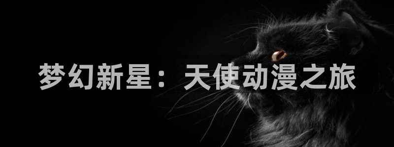 囧次元官方网页版：梦幻新星：天使动漫之旅