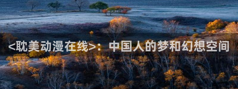 囧次元app正版：<耽美动漫在线>：中国人的梦和幻想空间