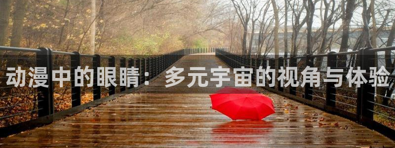 囧次元网页官网：动漫中的眼睛：多元宇宙的视角与体验