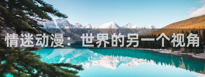 囧次元网站官网下载：情迷动漫：世界的另一个视角