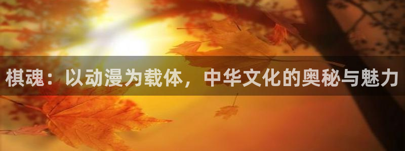囧次元官网下载入口：棋魂：以动漫为载体，中华文化的奥秘与魅力