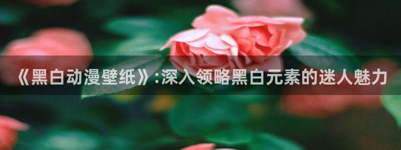 囧次元动漫app：《黑白动漫壁纸》:深入领略黑白元素的迷人魅力
