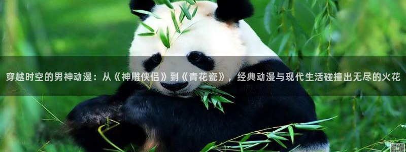 囧次元下载官方正版最新版：穿越时空的男神动漫：从《神雕侠侣》到《青花瓷》，经典动漫与现代生活碰撞出无尽的火花