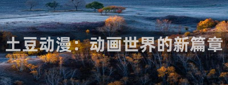 囧次元官网网址最新：土豆动漫：动画世界的新篇章