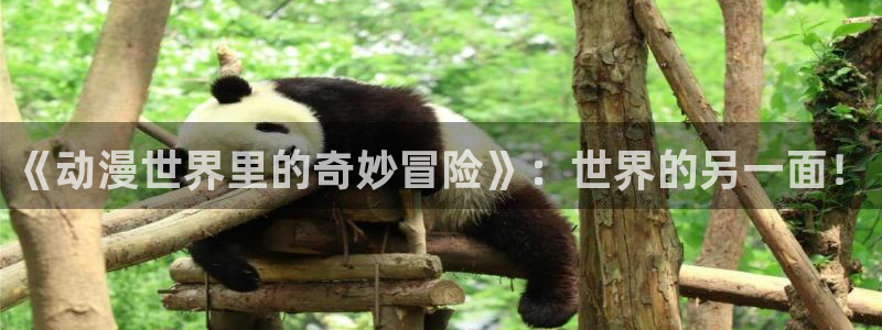 囧次元官方网页版入口：《动漫世界里的奇妙冒险》：世界的另一面！