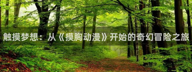 囧次元下：触摸梦想：从《摸胸动漫》开始的奇幻冒险之旅