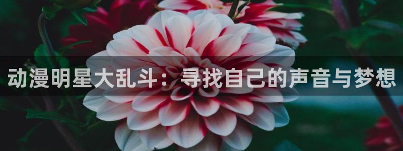囧次元官方：动漫明星大乱斗：寻找自己的声音与梦想