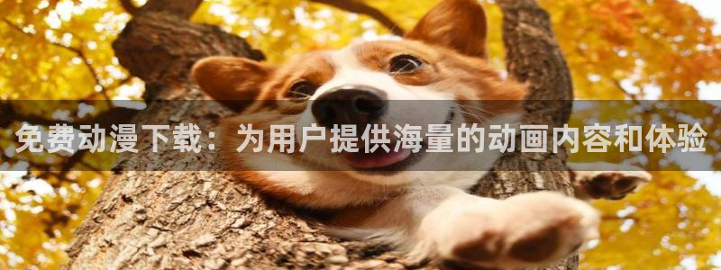 囧次元.：免费动漫下载：为用户提供海量的动画内容和体验
