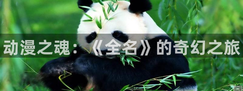 囧次元动漫官方网入口：动漫之魂：《全名》的奇幻之旅