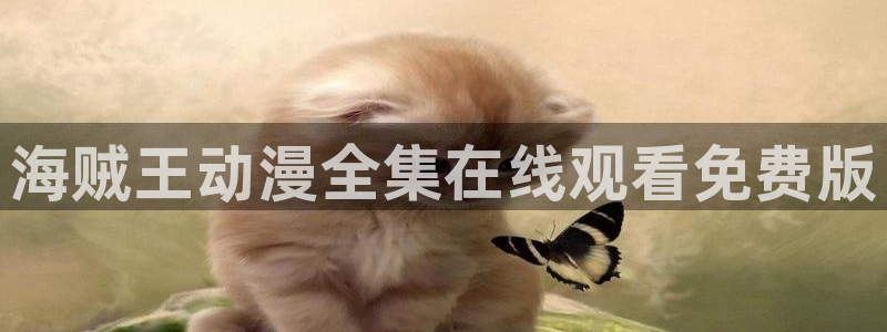 囧次元在线看：海贼王动漫全集在线观看免费版