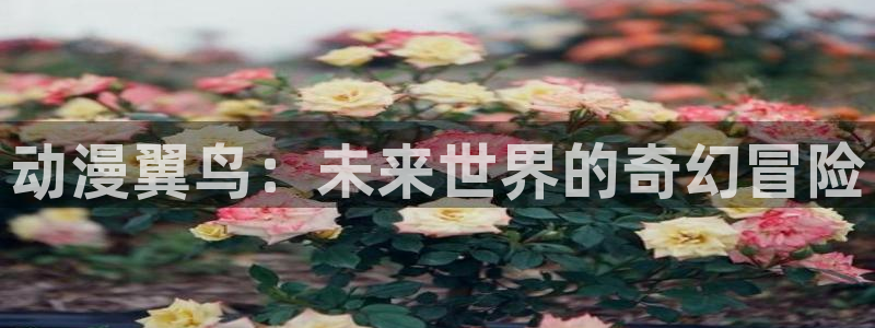 囧次元网站入口：动漫翼鸟：未来世界的奇幻冒险